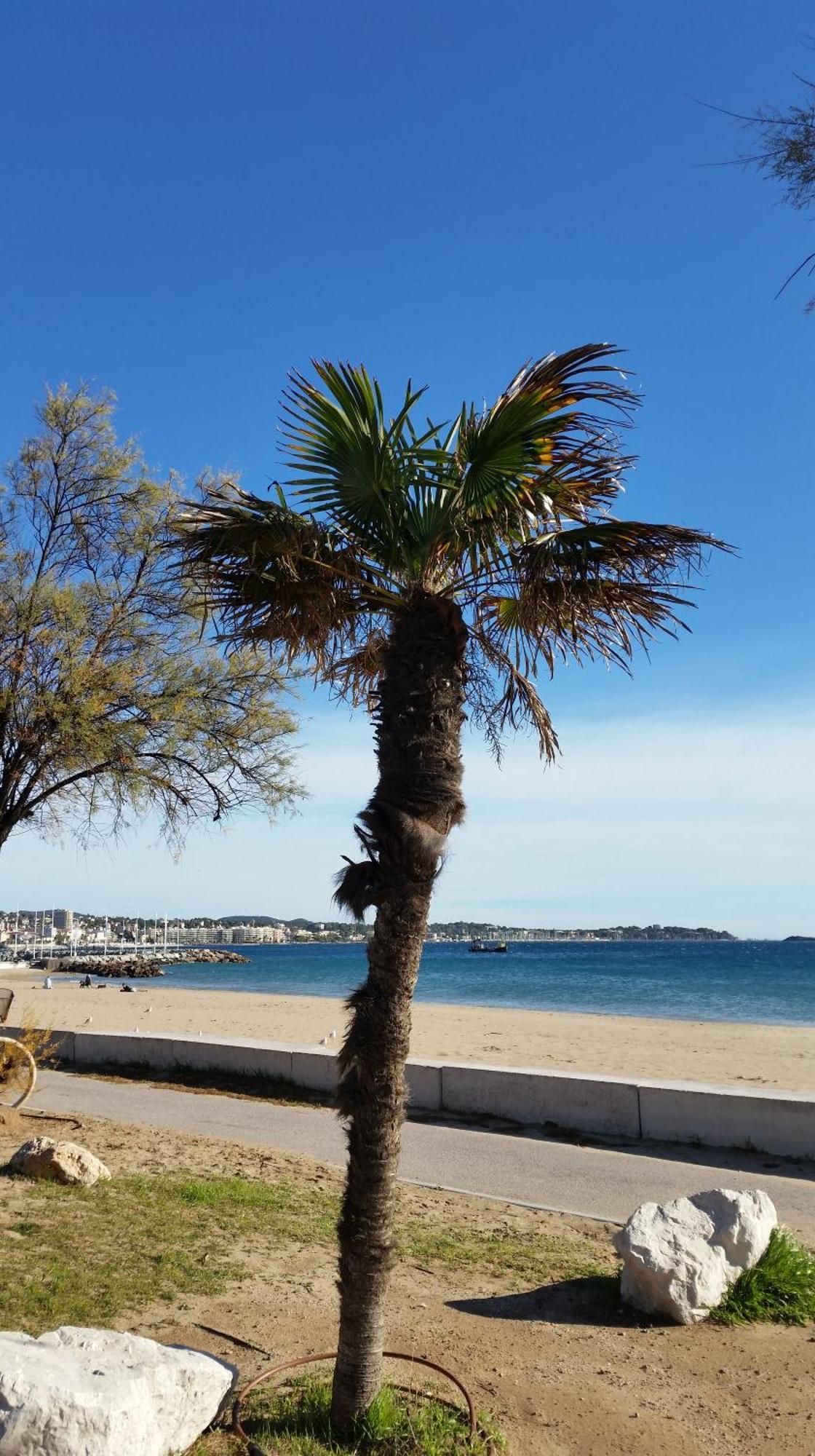 Sublime Vue Mer,Parking,Wifi Frejus Ngoại thất bức ảnh