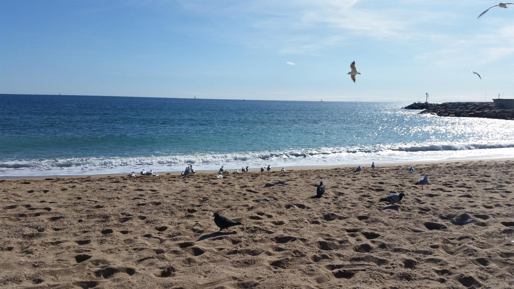 Sublime Vue Mer,Parking,Wifi Frejus Ngoại thất bức ảnh